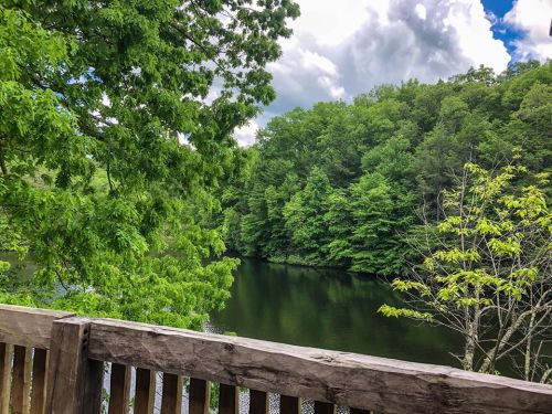 Lush green trees surround a calm river under a partly cloudy sky, viewed from a wooden railing.