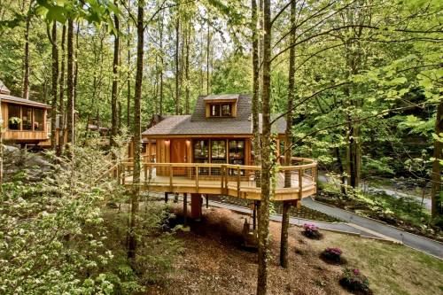 A modern wooden cabin elevated on stilts, surrounded by lush green trees and a pathway in a serene forest setting.