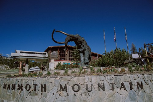 A large elephant statue in front of a building with "Mammoth Mountain, California" engraved on a stone wall.