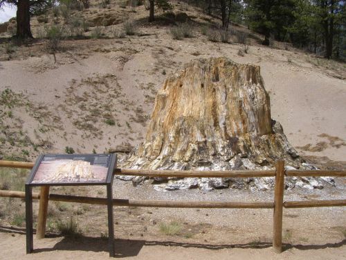 A large, colorful petrified tree stump with a sign nearby, set against a dry, rocky landscape and sparse vegetation.