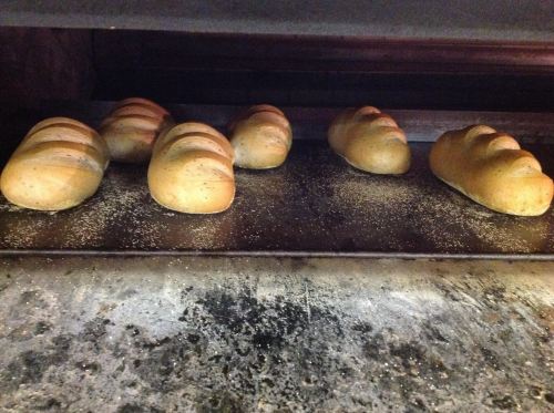 Freshly baked loaves of bread cooling on a baking tray in an oven.