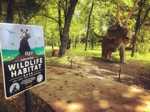 A sign for a certified wildlife habitat next to a large dinosaur statue in a wooded area.