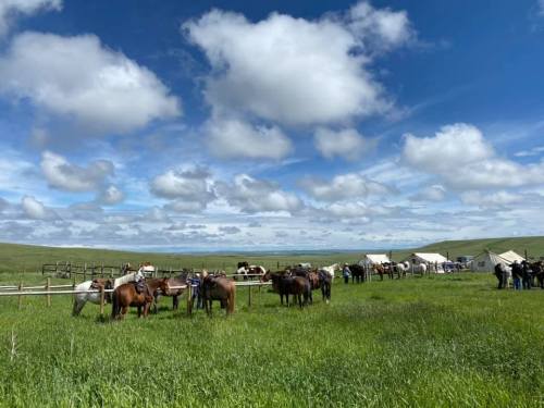 A scenic view of horses grazing in a green field under a blue sky with fluffy clouds, near tents and people.