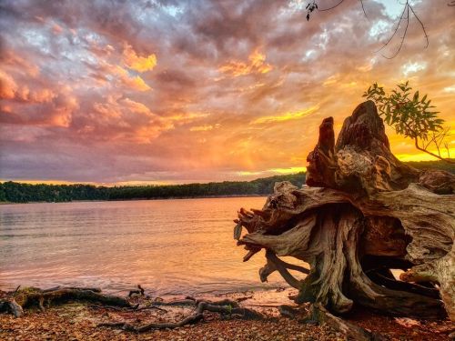 A vibrant sunset over a calm river, with a large, weathered tree trunk in the foreground and colorful clouds above.