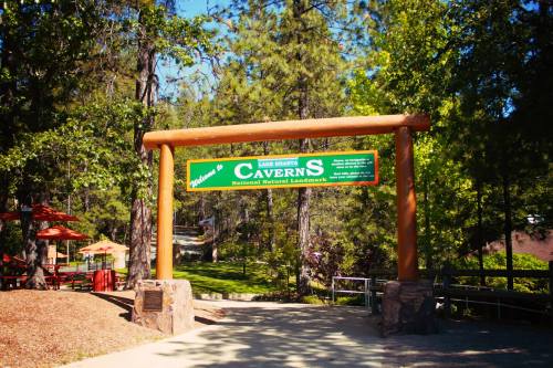 Sign for Lake Shasta Caverns, a National Natural Landmark, surrounded by trees and outdoor seating.