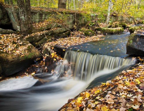 A serene waterfall flows over rocks, surrounded by autumn leaves and vibrant trees in a peaceful forest setting.
