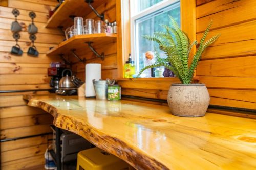 A wooden countertop with a potted fern, shelves with glassware, and a kettle in a cozy, rustic kitchen setting.