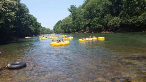 A river scene with people floating on yellow inner tubes, surrounded by lush green trees and clear water.