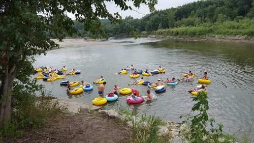 A group of people floating on colorful inner tubes in a river, surrounded by greenery and a sandy bank.