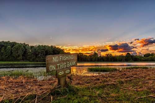 A sunset over a calm river with a sign that reads "No Fishing on This Bank" beside lush greenery.