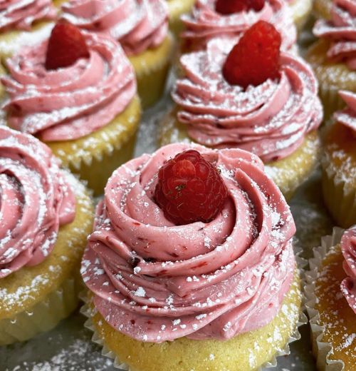 Close-up of cupcakes with pink frosting, topped with raspberries and dusted with powdered sugar.