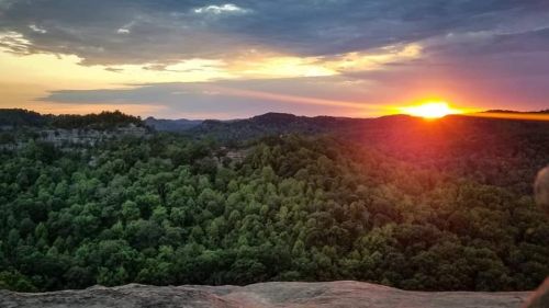 Sunset over a lush green forest, with rolling hills and a colorful sky in the background.