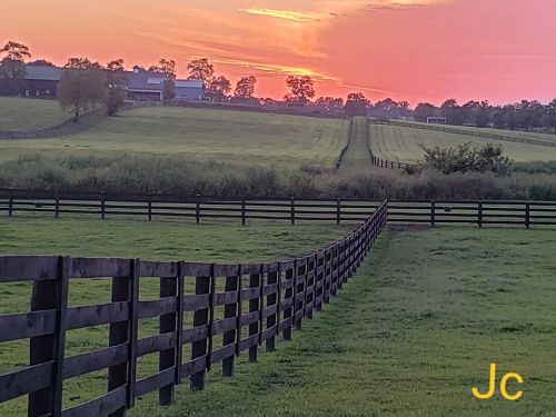 A serene landscape at sunset, featuring a wooden fence, lush green fields, and a colorful sky.