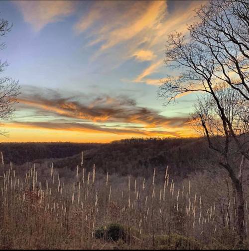 Sunset over a valley, with wispy clouds and tall grasses in the foreground, framed by bare trees.