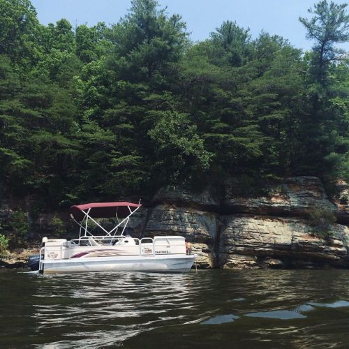 A pontoon boat anchored near a rocky shoreline surrounded by lush green trees on a sunny day.