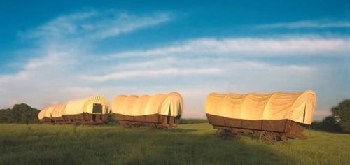 Three covered wagons on a grassy field under a blue sky with wispy clouds.