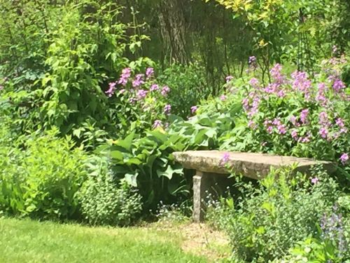 A stone bench surrounded by lush greenery and blooming purple flowers in a serene garden setting.