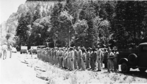 A black and white photo of a line of uniformed individuals standing by a road, with trees and vehicles in the background.