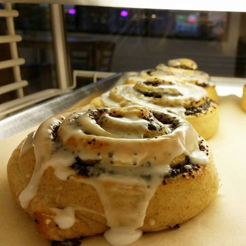 Freshly baked cinnamon rolls drizzled with creamy icing, displayed on a tray.