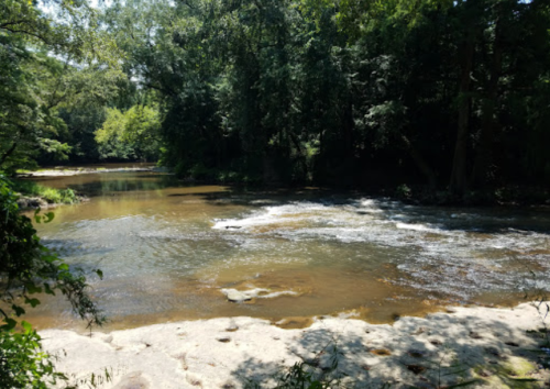 A serene river flows through a lush, green forest, with gentle ripples and sunlight filtering through the trees.