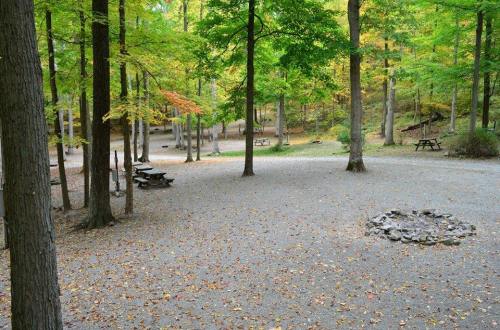 A serene forest clearing with picnic tables, surrounded by trees displaying autumn foliage and a fire pit in the center.