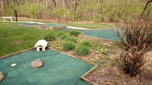 A mini-golf course with green turf, surrounded by trees and shrubs, featuring a small doghouse and rocks.