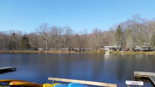 A serene lake surrounded by bare trees and a clear blue sky, with kayaks lined up on the dock.