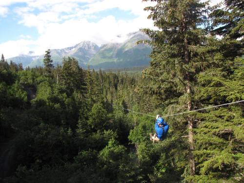 A person zip-lining through a lush green forest with mountains in the background under a partly cloudy sky.