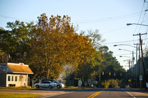 A quiet street scene with a small store, a tree with autumn leaves, and a car near a traffic light.