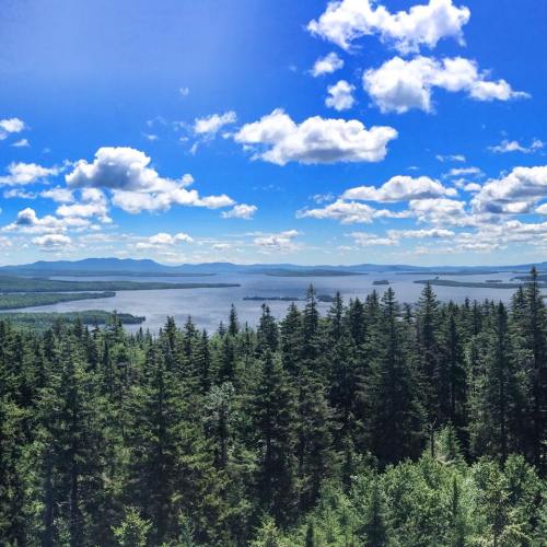 A scenic view of a lake surrounded by lush green forests and mountains under a bright blue sky with fluffy clouds.