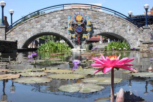 A stone bridge arches over a pond with colorful water lilies and a decorative clock on the bridge's center.