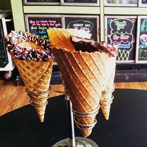 Three ice cream cones in a holder: one with chocolate and sprinkles, one dipped in chocolate, and one plain.