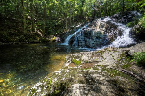 A serene waterfall cascades over rocks into a clear pool, surrounded by lush green trees in a tranquil forest setting.
