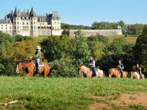 A group of horseback riders on a grassy field with a large castle in the background under a clear blue sky.