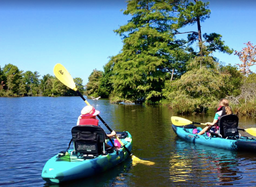 Two people kayaking on a calm lake surrounded by trees under a clear blue sky.