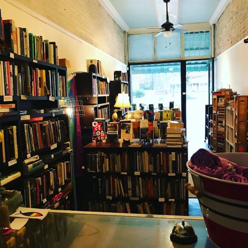 Cozy bookstore interior with shelves of books, a lamp, and a view of the street through large front windows.
