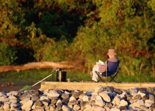 A person sits on a rocky pier, reading a book while fishing, surrounded by lush greenery.