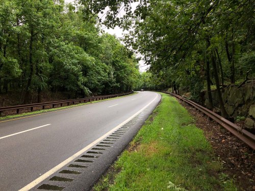 A winding road surrounded by lush green trees and a grassy shoulder, with a guardrail along the side.