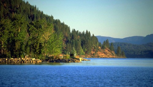 A serene lake surrounded by lush green trees and mountains under a clear blue sky.