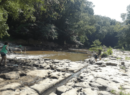 People enjoying a sunny day by a rocky riverbank, surrounded by lush greenery and calm water.