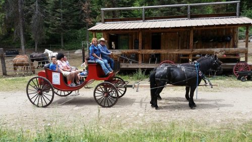A horse-drawn carriage with passengers in front of a rustic wooden building in a forested area.