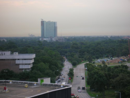 A cityscape view showing a road lined with trees, buildings in the background, and a hazy sky at dusk.