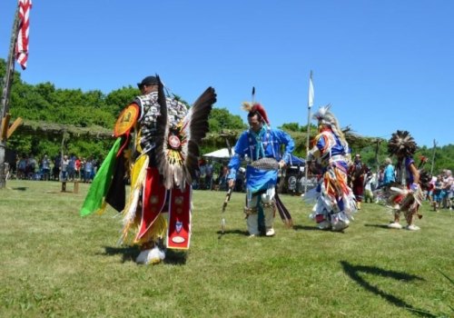 A group of dancers in traditional attire perform at an outdoor event, surrounded by spectators and greenery.