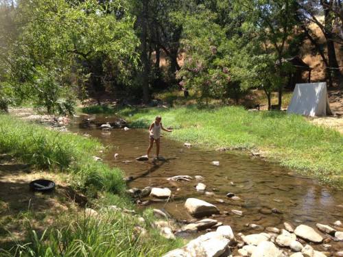 A person stands in a shallow stream, surrounded by greenery and rocks, with trees and a hillside in the background.