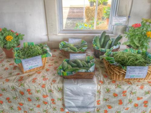 Baskets of fresh vegetables, including cucumbers and green beans, displayed on a table with price tags and flowers.