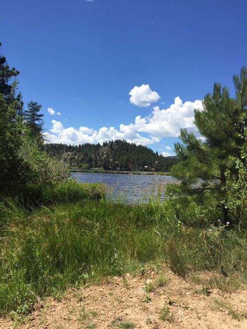 A serene lake surrounded by lush greenery and trees, with a clear blue sky and fluffy white clouds above.