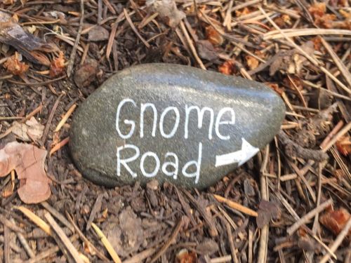 A rock with the text "Gnome Road" and an arrow, placed among pine needles and leaves.