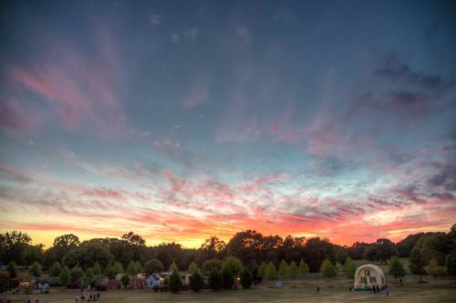 A vibrant sunset paints the sky with pink and orange hues over a park with trees and distant figures.