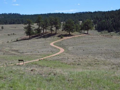 A winding dirt path leads through a grassy field with scattered trees and a clear blue sky in the background.