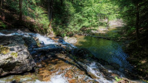 A serene forest scene featuring a cascading waterfall flowing into a calm, clear pool surrounded by lush greenery.